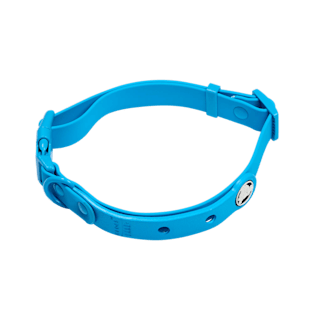 BarkBox Medium Dog Collar
