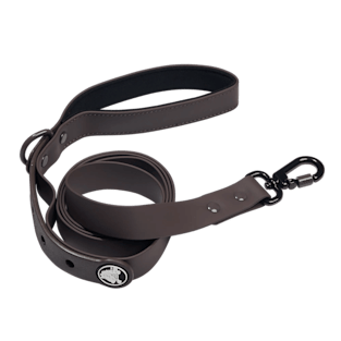 BarkBox Dog Leash
