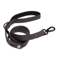 BarkBox Dog Leash