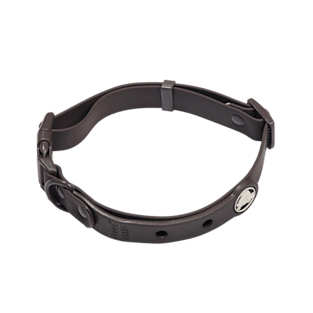 BarkBox Medium Dog Collar