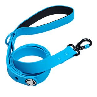 BarkBox Dog Leash