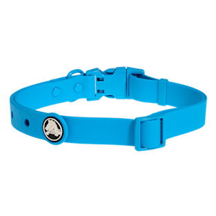BarkBox Large Dog Collar
