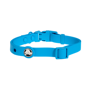 BarkBox Medium Dog Collar