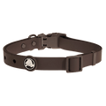 BarkBox Large Dog Collar