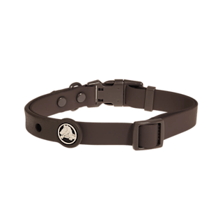 BarkBox Medium Dog Collar
